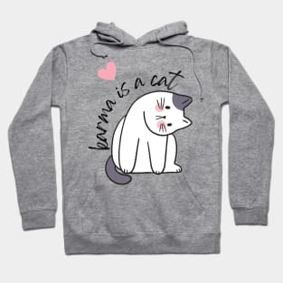 karma is cat cute Hoodie